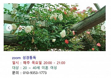 한국외방선교수녀회 zoom 성경통독