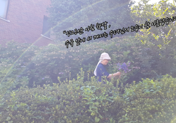 서로를 예쁘게 바라보는 시선