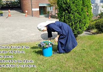 주일을 준비하시는 수녀님의 예쁜 일상