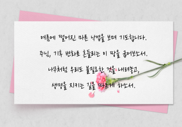 여름의 낙엽이 전하는 이야기
