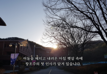 솔바람과 햇살이 함께한 연피정의 아침